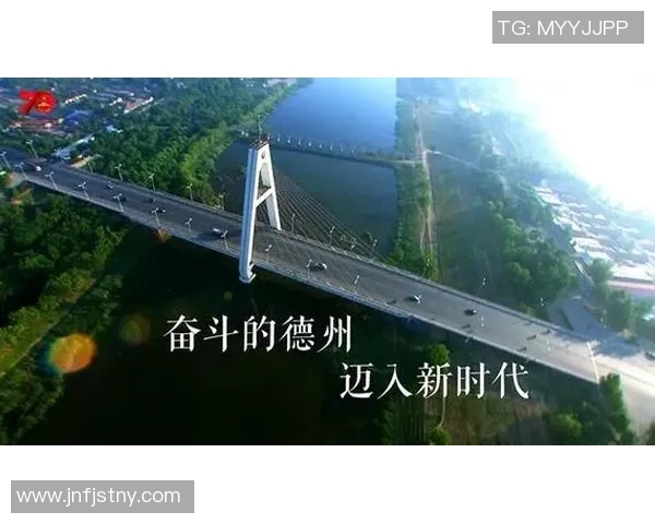 致敬篮球传奇的国外小说：在梦想与奋斗中追寻篮球的光辉岁月